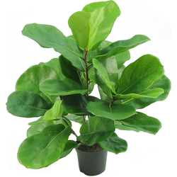 Hoyz Greenery - Kunstplant Tabaksplant Fiddle Leaf 45 cm