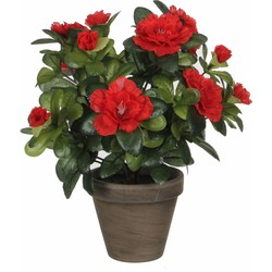 Groene Azalea kunstplant met rode bloemen 27 cm met pot stan grey - Kunstplanten