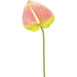 Greenmoods Kunstbloem Anthurium - Anthurium - Nep plant - 1 Stuk - 65cm - Groen/Roze