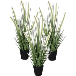 3x stuks groene Dogtail siergras kunstplanten 53 cm met zwarte pot - Kunstplanten