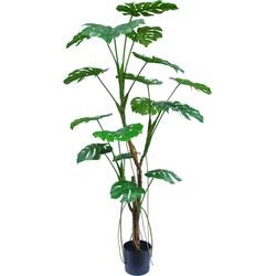 Kunstplant Monstera Royal 180 cm