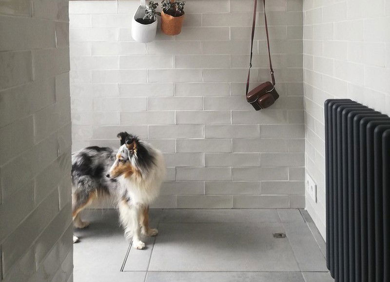 Zo creëer je een puppyproof interieur