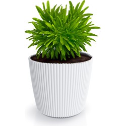 Prosperplast Plantenpot/bloempot Buckingham - kunststof - ivoor wit - D17 x H15 cm - Plantenpotten