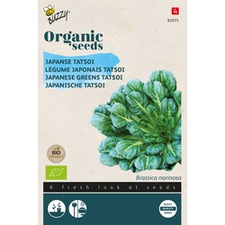 Organic Tatsoi (BIO) - Buzzy