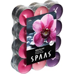 Spaas waxinelichtjes - 24x - Wild Orchid - 4,5 branduren - geurkaarsen