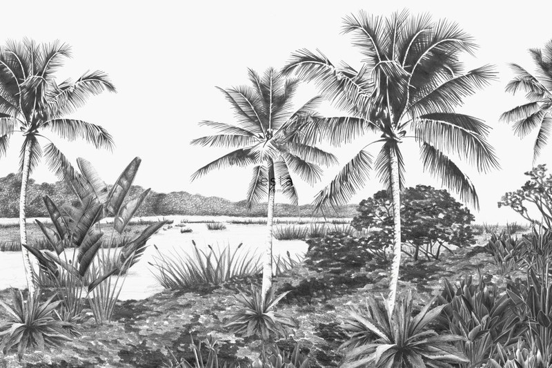 ESTAhome fotobehang tropisch landschap met palmbomen zwart en wit - 