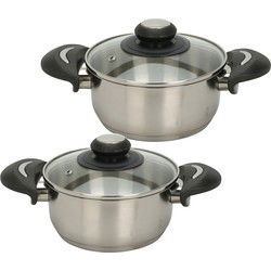 Excellent Houseware Kookpannen set - 2x - glazen deksel - RVS - 2.7 en 5.4 liter - Kookpannen