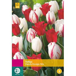 3 stuks - Tulipa Dutch Design Mix 12 bollen