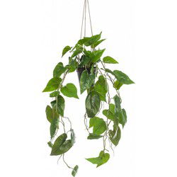 Philodendron scandens hang. in pot 80 cm kunstbloem zijde nepbloem