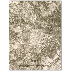 Houten Citymap Tokio 80x60 cm 