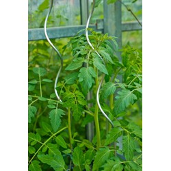 3 stuks - Tomatensteunen spiraalvormig verzinkt H1,80m dia. 6,8mm - Nature