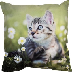 Clayre & Eef Kussenhoes 45x45 cm Groen Polyester Kat Sierkussenhoes