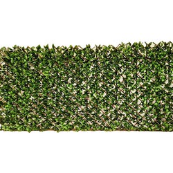 Willow Fence uitvouwbaar 100x200 cm