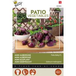 Patio Veggies, Aubergine Patio Baby F1 - Buzzy