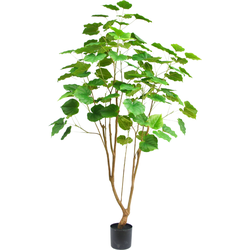 Hoyz Greenery - Kunstplant Ficus 180 cm