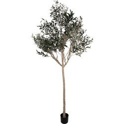 Clayre & Eef Kunst Olijfboom Groen Kunststof