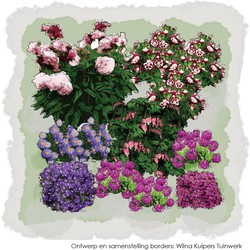 1m2 Voorjaarsborder in purper en roze 4a - Vierkante Meter Borders