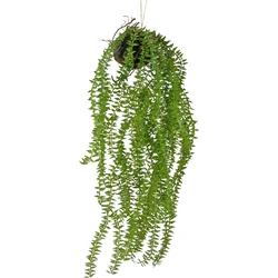 Hoyz Greenery - Kunst hangplant Phlegmariurus bal 55 cm