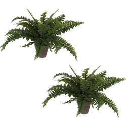 2x stuks varen kunstplanten groen in terracotta pot H42 cm - Kunstplanten