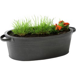 Mega Collections teil/plantenpot Farmer - ovaal - zink - zwart - L43 x D30 X H14 cm - IJzeren emmer / teil