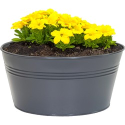 Mega Collections plantenpot/bloempot Bob - zink - antraciet - D25 X H12 cm - IJzeren emmer / teil