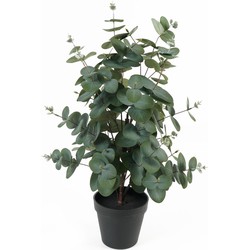 Kunstplant Eucalyptus Leaf - Groen - 25x25x54cm