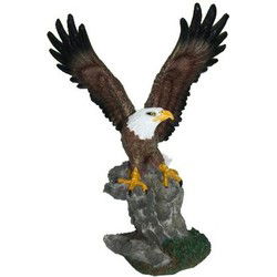 Amerikaanse zeearend beeldje - decoratie - polystone - 28 cm - Beeldjes