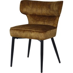 PTMD Zinno Brown dining chair