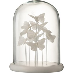  J-Line Decoratie Stolp Glas Vlinders Transparant Wit - Large