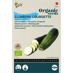 Seeds courgette ola escaladora 6 zaden