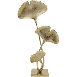 Kare Decofiguur Ginkgo Leafs 70cm