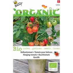 5 stuks - Organic Hangtomaat Koralik Tuinplus - Buzzy