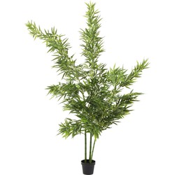 Kare Deco Plant  Bamboo Tree 200cm