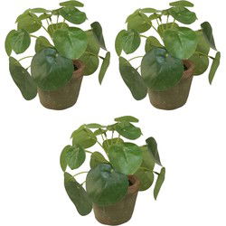Emerald Kunstplant pilea/pannekoekplant - 3x - groen - in pot - 13 cm - Kunstplanten