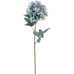 Tige de Dahlia Waterlily - Bleu et vert / 58 cm