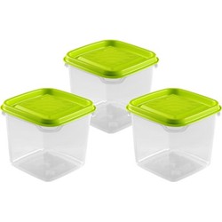 Hega Hogar Vershoudbakjes - set 3x stuks - 0.3 liter - transparant/lime groen - L8 x B8 x H11 cm - Vershoudbakjes