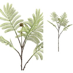 PTMD Leaves Plant Kruidje-Roer-Me-Niet Kunsttak - 36x31x77 cm - Groen