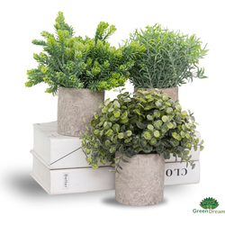 GreenDream® Kunstplanten set met 3 Kleine kunstplanten 20 cm - Cadeautip