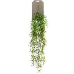 Seidenpflanze Hängepflanze auf Steckling Rhipsalis Kunstpflanze Kollektion - Driesprong Collection