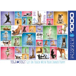 Eurographics Eurographics puzzel Yoga Dogs - 1000 stukjes