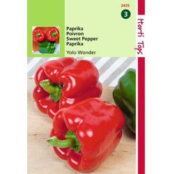 2 stuks - Paprika Yolo Wonder