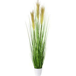 Kopu® Kunstplant Pampusgras 95 cm - 3 pluimen - in witte pot