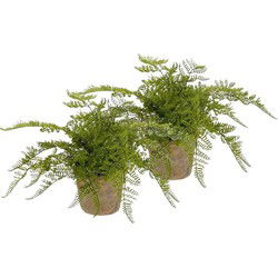 Emerald Kunstplant Varen Groen - 2x - In Pot - Kamerplant GroeneVaren - Kunstplanten