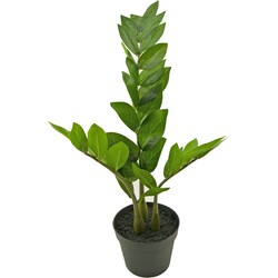 Kunstplant Zamioculcas 50 cm