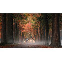 Tuinschilderij ochtenddauw 130x70cm