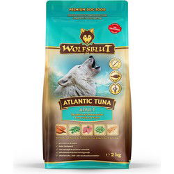 Adult atlantic tuna 2kg