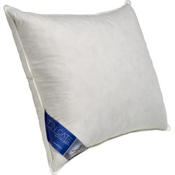 Ten Cate 60/40 Eendendonzen Puntkussen - 60x70 cm