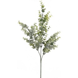 Emerald Kunstplant Eucalyptus - groen - takken - 68 cm - Kunstplanten