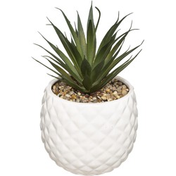 Kunstplant in Witte Ananas Pot – H21 cm