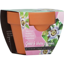 Grow gifts kweekset groeicadeautje passiflora